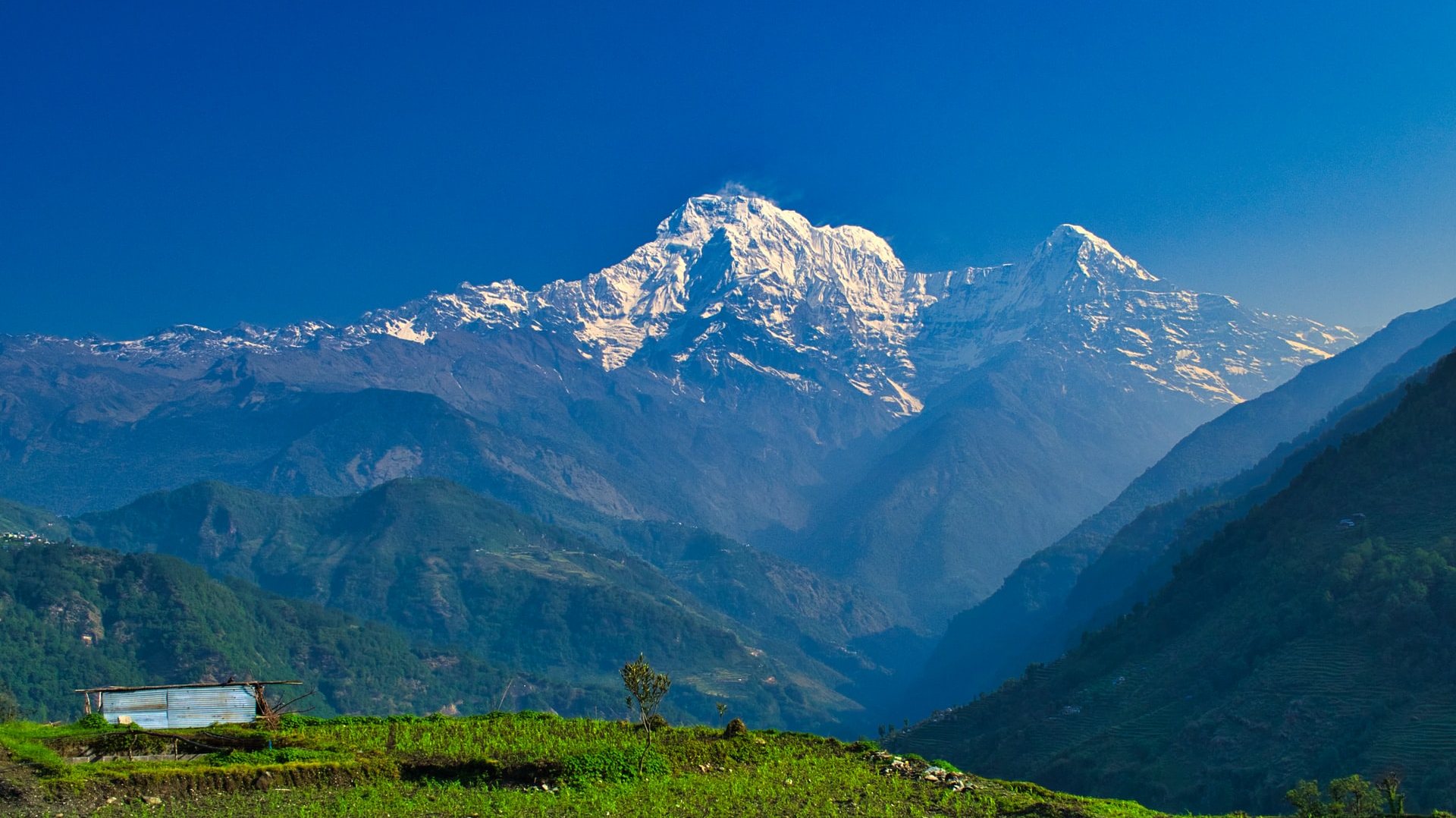 Annapurna